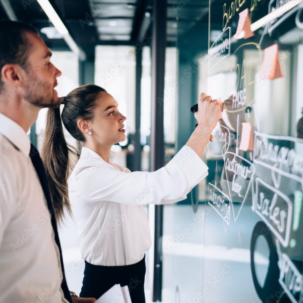 Advanced_diploma_of_program _management